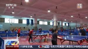 贝博中国 天沐温泉乒乓球台